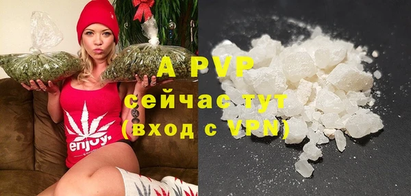 эйфоретик Нея